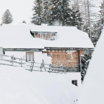 ©ManuelaWilpernig-04994 ©ManuelaWilpernig-04994